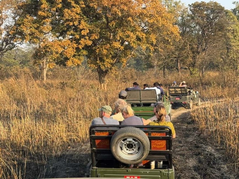 Kathmandu: 3-Day Chitwan Safari Tour with Hotel Transfers - Book or Not: My Practical Recommendation
