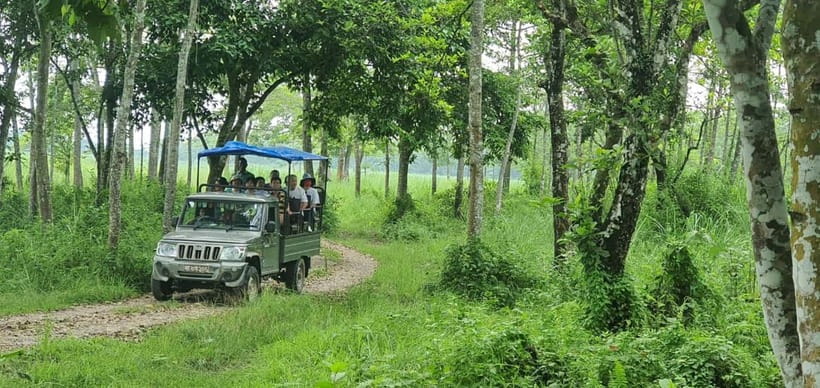 Kathmandu: 3-Day Chitwan Safari Tour with Hotel Transfers - FAQ