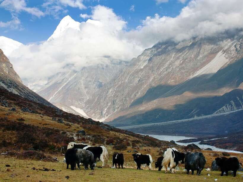 Kathmandu: 6 Days Langtang Valley Trek with Kyanjin Ri - Day 6: the return to Kathmandu and that post-trek reality check