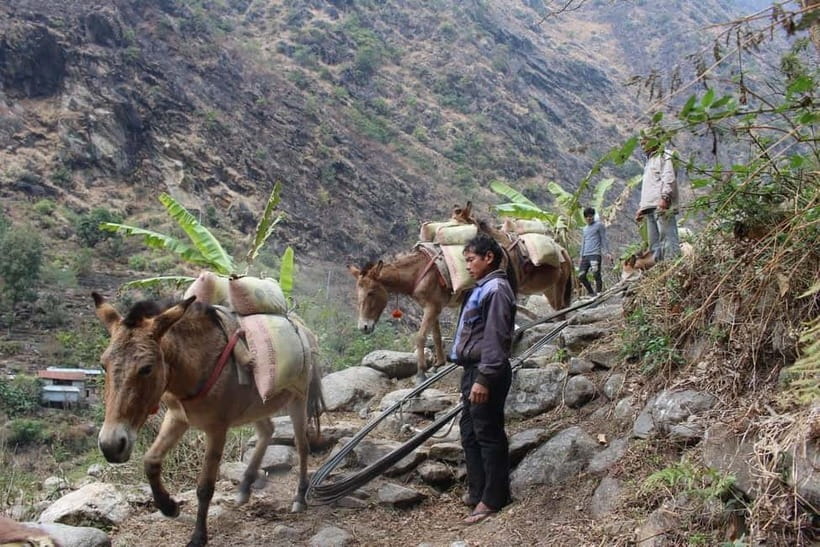 Kathmandu: 9-Day Annapurna Circuit Trek via Thorong La Pass - Manang to Yak Kharka: a shorter day that sets you up for Thorong Phedi