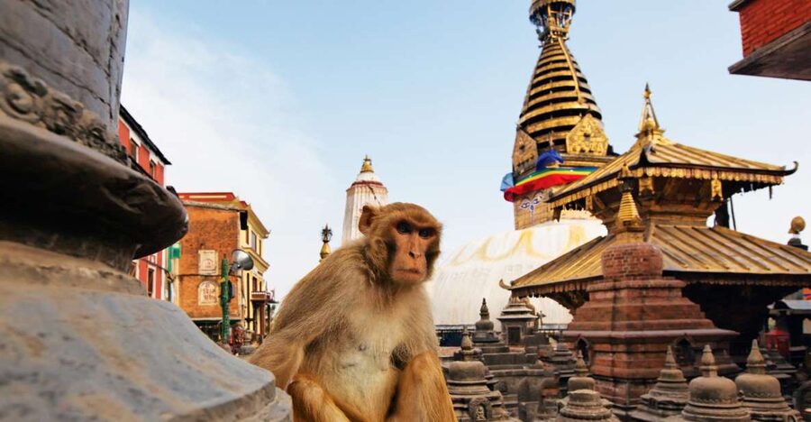 Kathmandu: Chandragiri cable car & Swayambhunath Tour - Key highlights to look forward to