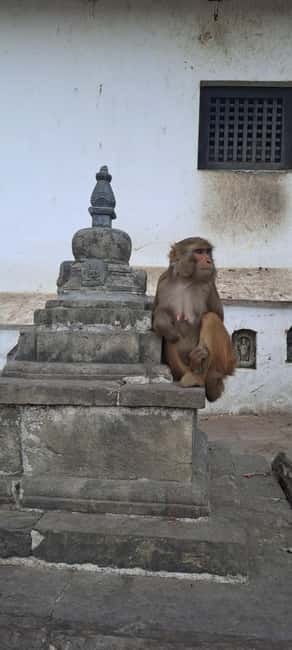 Kathmandu: Chandragiri cable car & Swayambhunath Tour - FAQ
