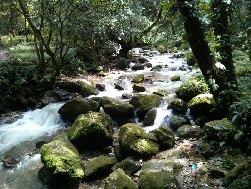 Kathmandu: Chisapani Nagarkot 3-Days 2-Nights Trek - Why this Sundarijal to Nagarkot route is a smart Himalayan taste