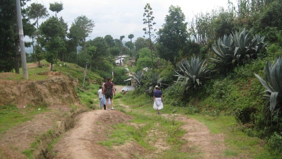 Kathmandu: Chisapani Nagarkot 3-Days 2-Nights Trek - Day 2: Chisapani to Nagarkot, long walking, forests, and the uphill toward the main viewpoint