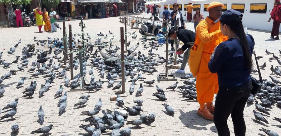 Kathmandu: Guided -Day Tour of World Heritage Sites - Patan Durbar Square in Lalitpur: Carving-Focused Heritage Time