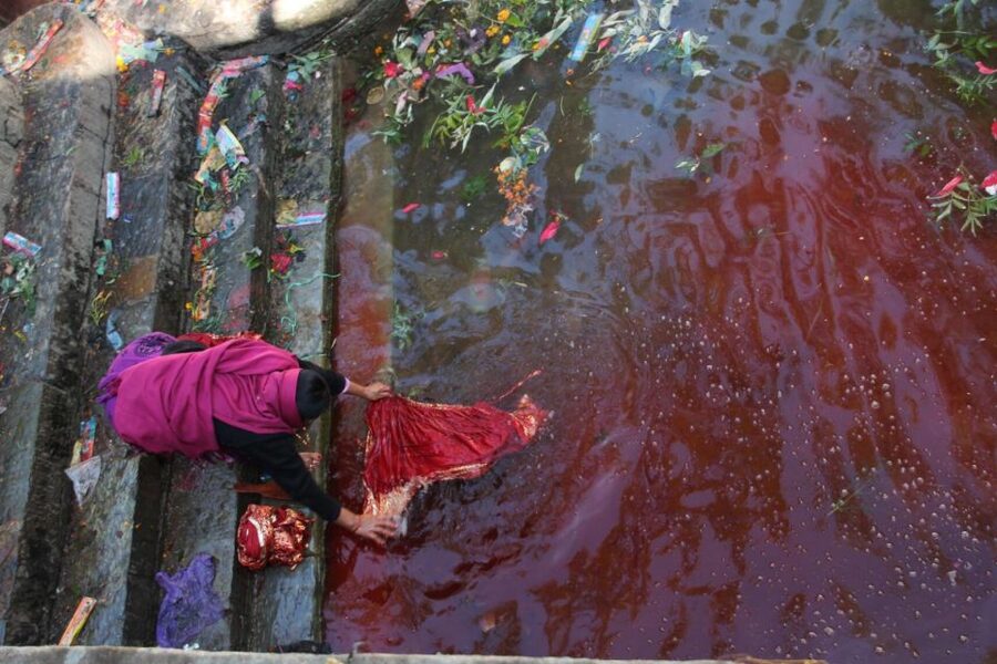 Kathmandu: Pharping, Dakshinkali and Chobhar Tour with Lunch - Taudaha Lake: the valley’s natural pause with bird sanctuary energy