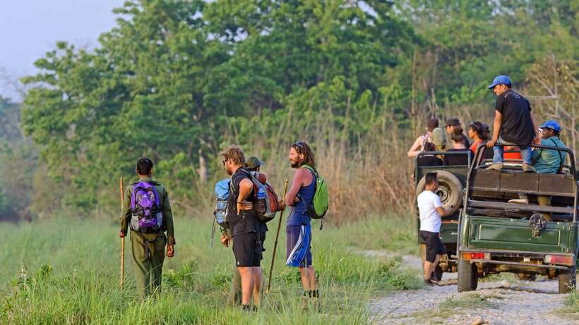 Kathmandu/Pokhara: 3 Day Chitwan Jungle Safari Tour - Day 3: Birdwatching options, breakfast, and the return to Kathmandu or Pokhara