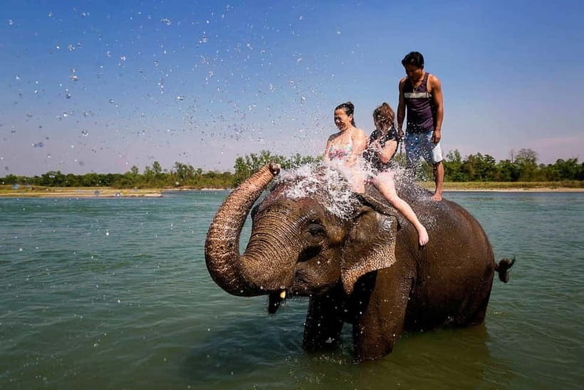 Kathmandu/Pokhara: 3 Day Chitwan Jungle Safari Tour - Where you’ll stay in Chitwan, and what “comfortable lodge” means in real life