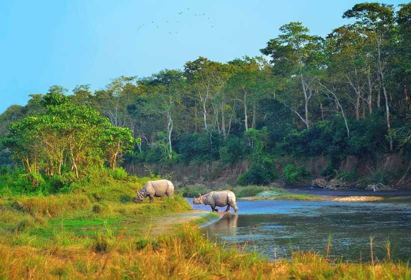 Kathmandu/Pokhara: 3 Day Chitwan Jungle Safari Tour - Price and value: is $129 a good deal for this package?