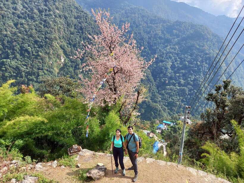 Kathmandu/Pokhara: 5-Day Annapurna Base Camp (ABC) Trek - Day 4: Sunrise at ABC, then the big 12 to 14 km return day