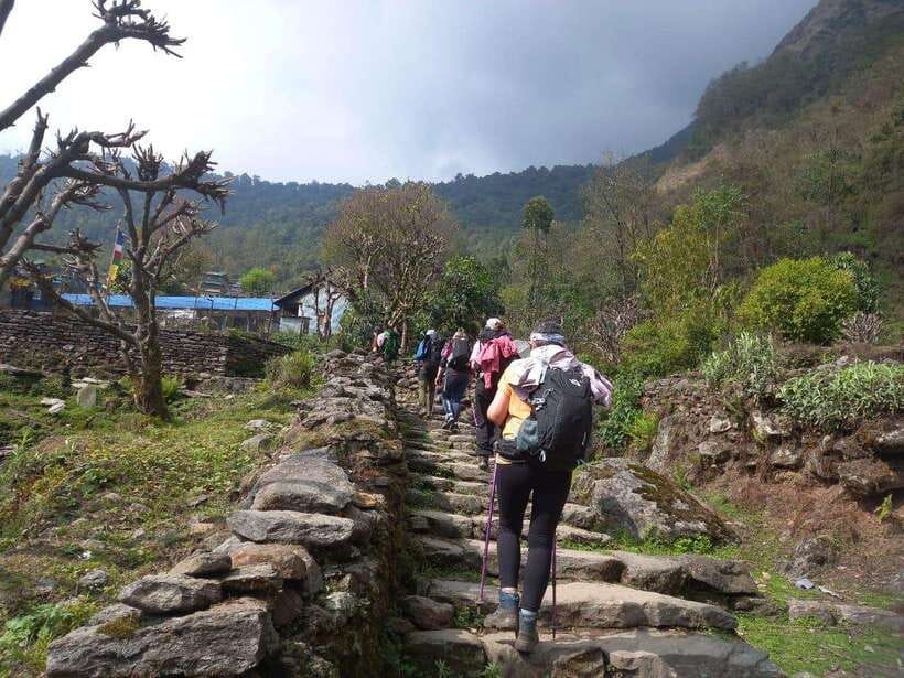 Kathmandu/Pokhara: 5-Day Annapurna Base Camp (ABC) Trek - Guides make or break the ABC experience, and the best ones run on safety