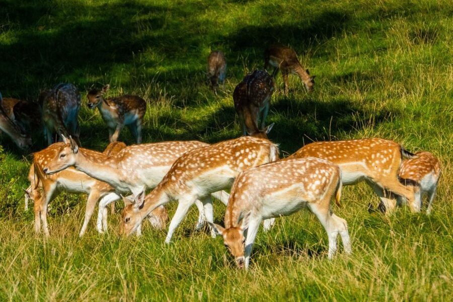 Kathmandu/Pokhara: Wildlife, Culture and Jungle Safari Tour - Road To Sauraha: The Part That Controls Your Whole Schedule