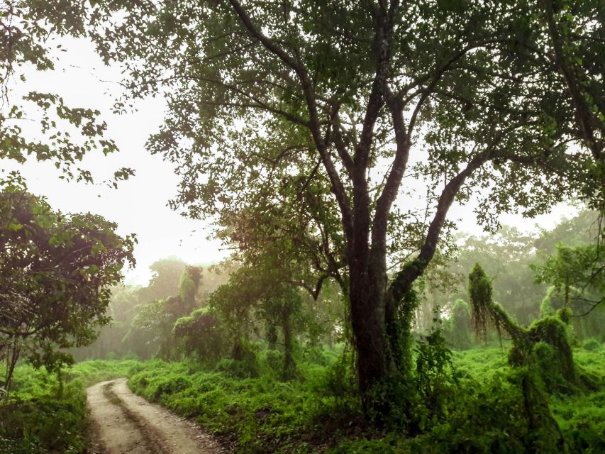 Kathmandu/Pokhara: Wildlife, Culture and Jungle Safari Tour - Day 1 In Sauraha: Check-In, Community Dance, and Food That Sets You Up