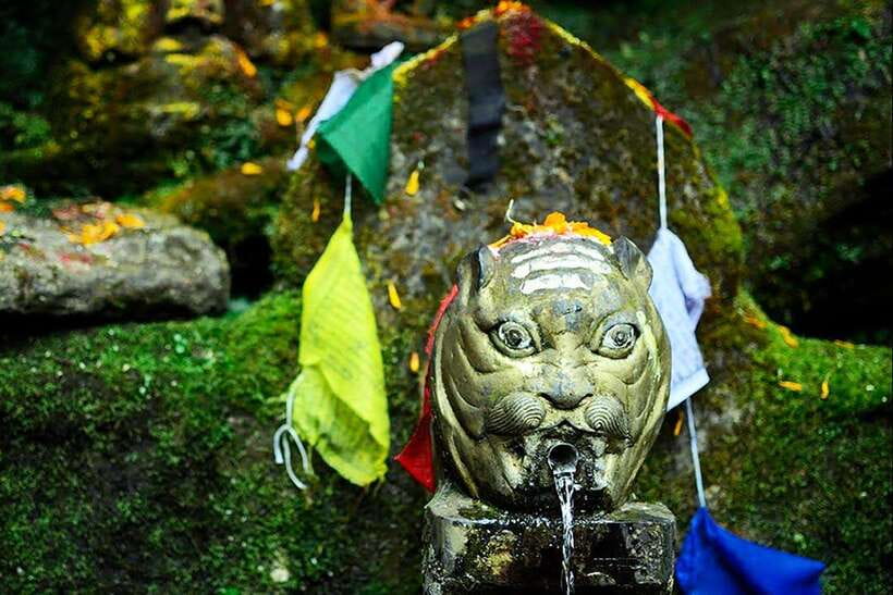 Kathmandu: Shivapuri Day Hike with Lunch - Key Things I’d Focus On