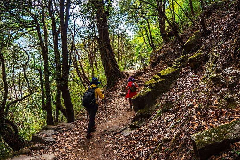 Kathmandu: Shivapuri Day Hike with Lunch - Forest Time at Shivapuri National Park: Birds, Monkeys, and Wildlife Moments