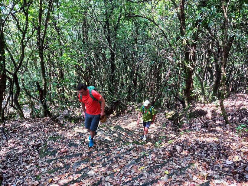 Kathmandu: Shivapuri Day Hike with Lunch - Summit Time: The Kathmandu Valley View and Multiple Himalayan Peaks