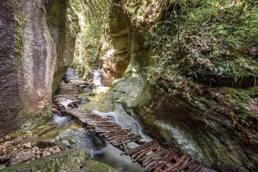 Kathmandu: Shivapuri Hill Day Hike with Lunch box - Key things you will notice on this Shivapuri Hill day hike