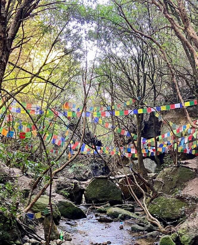 Kathmandu: Shivapuri Hill Day Hike with Lunch box - Shivapuri National Park: the Kathmandu escape you can do in one day