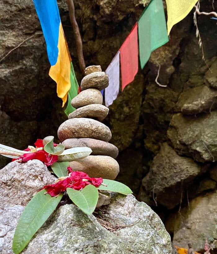 Kathmandu: Shivapuri Hill Day Hike with Lunch box - Forest walking and bird calls: the part that feels refreshingly local