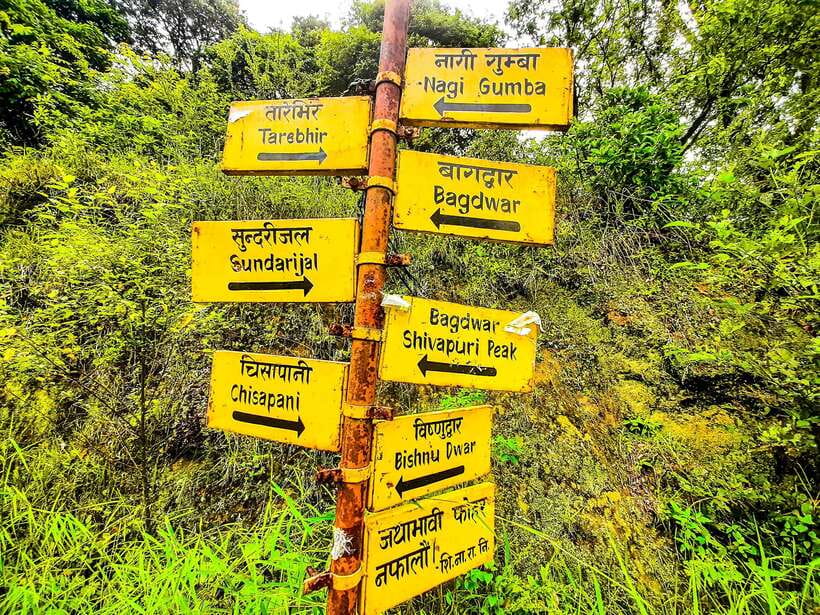 Kathmandu: Shivapuri Hill Day Hike with Lunch box - The hike pace: moderate, step-heavy, and doable with the right attitude