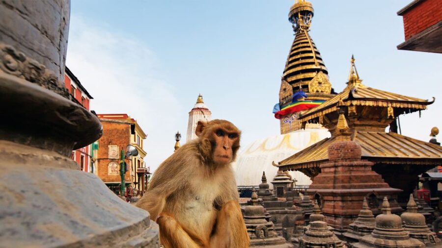 Kathmandu : Swambhunath & Durbar Square Guided Half Day Tour - The 4-hour pacing that works when Kathmandu is tight on time