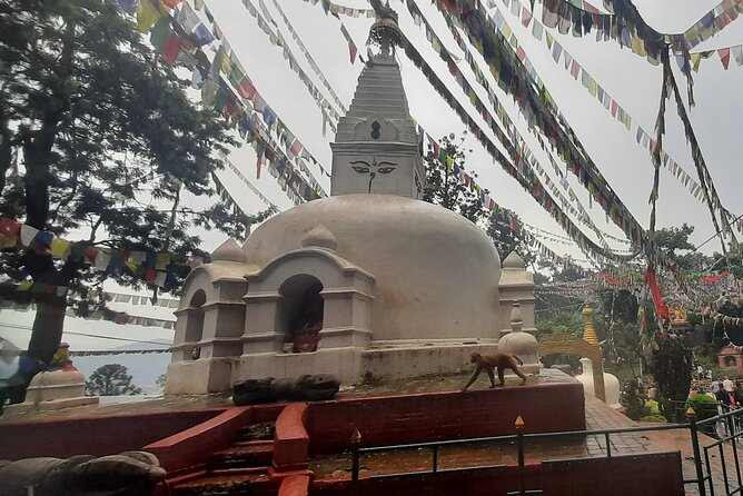Kathmandu Top 4 or 2 UNESCO World Heritage Sites Day Tour - Boudhanath Stupa: Tibetan-influenced devotion in Kathmandu