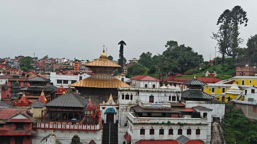 Kathmandu: UNESCO Heritage Site Private & Guided Tour - Patan Durbar Square, Newari art you can actually notice