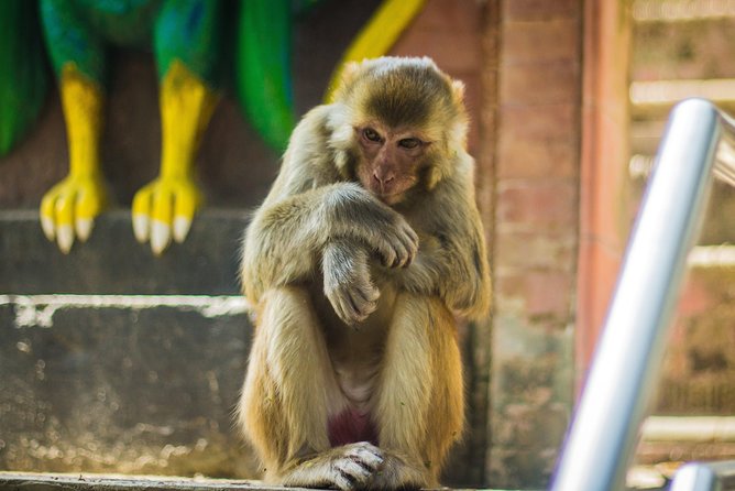 Kathmandu Valley Trek - Price and value: $283 for a guided, supported short trek