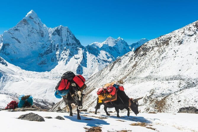 Langtang Trek from Kathmandu 7 Days - Day 4: rising to Kyanjin Gompa near 3,800 meters