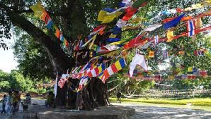 Lumbini Full day tour with Guide - Key Highlights I’d Put On Your Must-Do List
