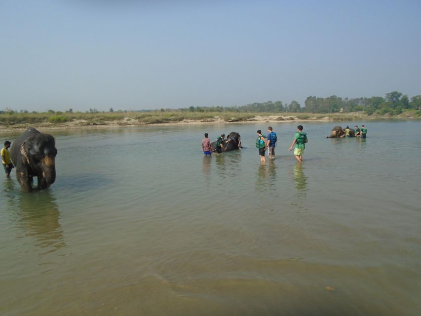 Luxury Chitwan Jungle Safari Package (2Nights/3Days) Resort - Road time from Kathmandu or Pokhara: the part you must plan for