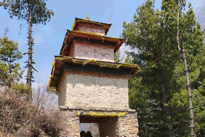 Manaslu Circuit Trek - 14 days of Himalayan Adventure - Days 12 to 13: Descent through pine and rhododendron, plus the long drive home