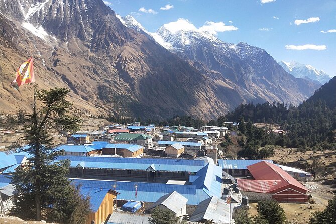 Manaslu Trekking - Day 13 to Day 14: Bhimtang Lake viewpoint, forests on the way down, Chamje nights