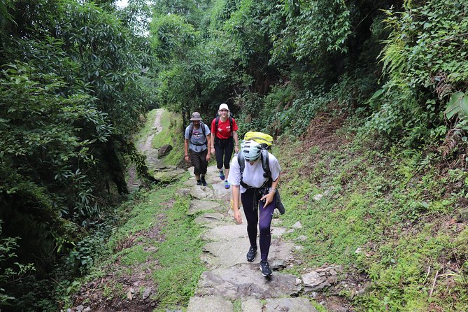Mardi Himal Base Camp Trek (5 Days) - Key highlights worth planning for