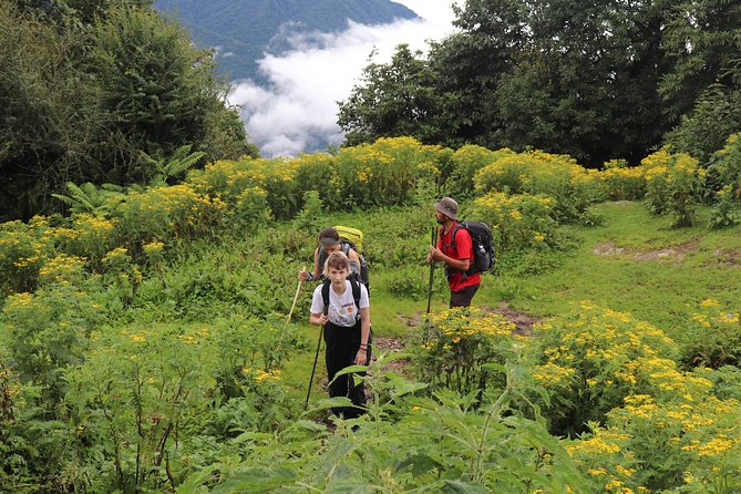 Mardi Himal Base Camp Trek (5 Days) - Day 2: Badal Dhanda and quiet jungle walking through ACAP country