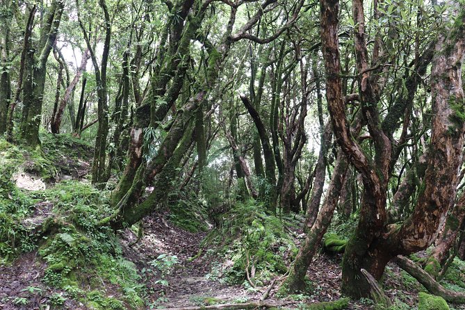 Mardi Himal Base Camp Trek (5 Days) - Day 5: Back to Pokhara from Sidhing, with time to reset