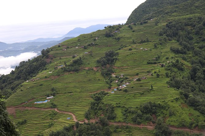 Mardi Himal Base Camp Trek (5 Days) - Day 1: Lakeside to Forest Camp, your first tea house night