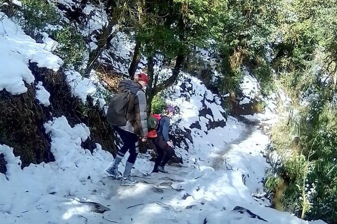 Mardi Himal Trek - Day 4: Landruk descent, village life, and Annapurna South framing