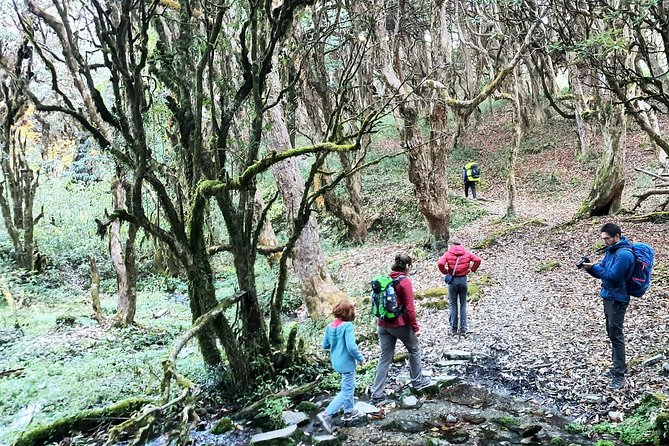 Mohare Danda Trek - Kathmandu to Pokhara, then west: why the road days matter