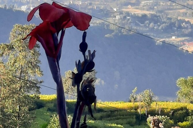Nagarkot (2175m) Sunrise and Day Hike to Changunarayan Temple - The Downhill Hike to Changunarayan Temple (4 to 5 Hours)