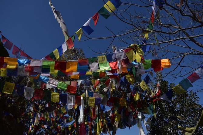 Namo Buddha and Thrangu Tashi Yangtse Monastery Half-Day Tour - Price and value: what $104 buys you, and what it does not