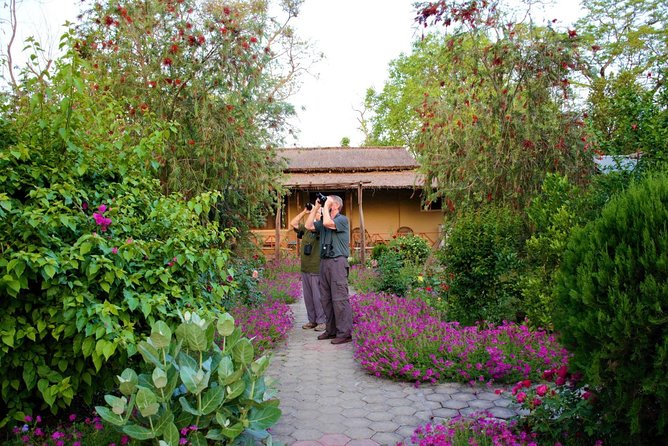 Nepal Birding - Kathmandu Birding With a Shivapuri Nagarjun National Park Escape
