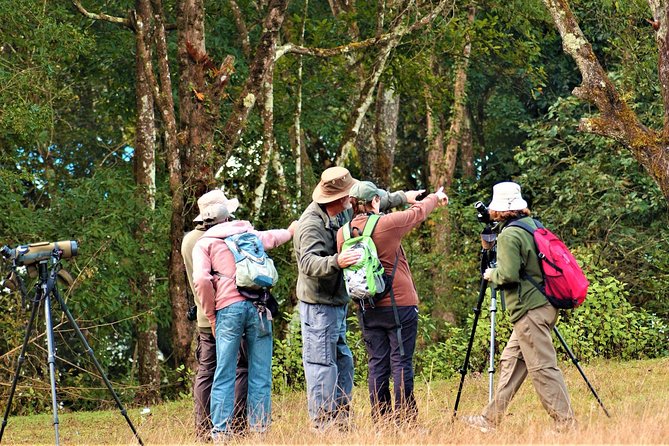 Nepal Birding - How the 6 to 11 Hours Play Out on Foot and in the Field
