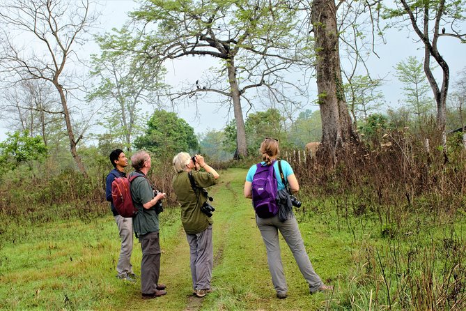 Nepal Birding - What’s Included, What’s Not, and the Easy Packing Checklist