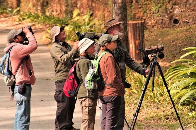 Nepal Birding - Price and Value: Why $225 Makes Sense for the Right Style of Traveler