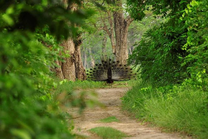 Nepal Classic Tour -12 Days - Lumbini: Buddha Roots With a Guided Heritage Walk