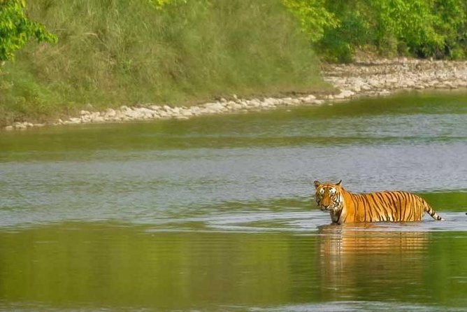 Nepal Classic Tour -12 Days - Palpa to the Viewpoints: Sunrise Views and Rani Mahal
