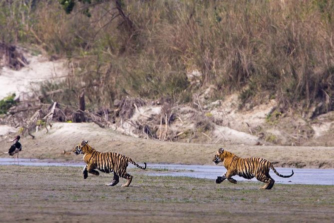 Nepal Classic Tour -12 Days - Arriving in Kathmandu: Getting Oriented Without Losing a Day
