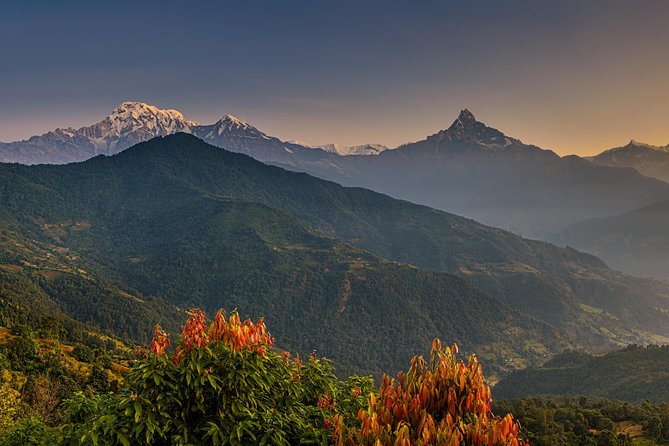 Nepal Cultural Highlights Tour in 10 Days - Price and What You Actually Get for $1,699