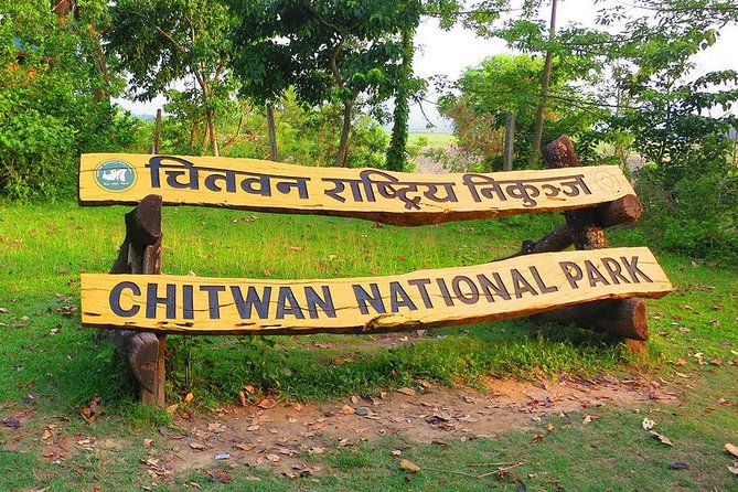Nepal in Luxury: Kathmandu, Chitwan & Pokhara Escape – 8 Days - Day 4 Full Chitwan Safari Day: Jeep or Elephant-Back, Canoe, Nature Walk